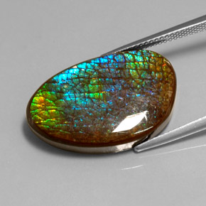 16.45カラットの天然マルチカラーアンモライト、ファンシーシェイプ、オペーク