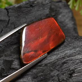 6.67カラットの天然マルチカラーアンモライト、ファンシーシェイプ、オペーク