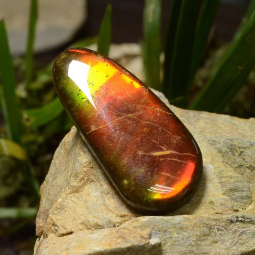 23.51ct 天然 マルチカラー アンモライト, ファンシー, オペーク