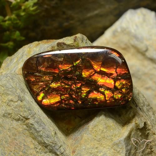 17.42ct 天然 マルチカラー アンモライト, ファンシー, オペーク