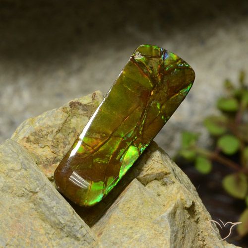 17.42ct 天然 マルチカラー アンモライト, ファンシー, オペーク