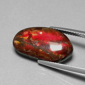 7.65カラットの天然マルチカラーアンモライト（19.5×11 mm・ファンシーシェイプ）
