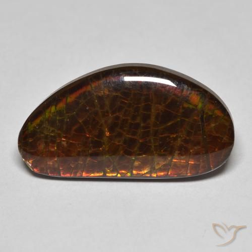 8.23ct 天然 マルチカラー アンモライト, ファンシー, オペーク