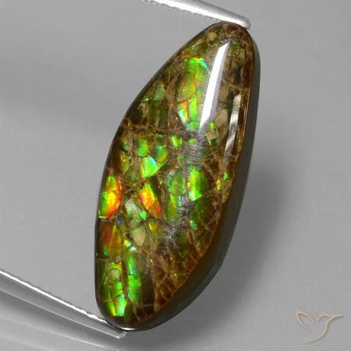 9.86ct 天然 マルチカラー アンモライト, ファンシー, オペーク