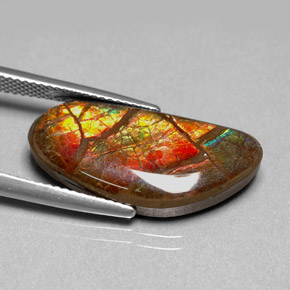 9.95カラットの天然マルチカラーアンモライト、ファンシーシェイプ、オペーク