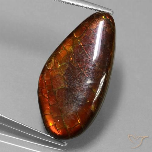 9.99ct 天然 マルチカラー アンモライト, ファンシー, オペーク