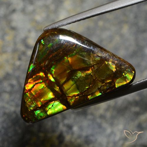 11.39ct 天然 マルチカラー アンモライト, ファンシー, オペーク