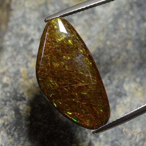11.88ct 天然 マルチカラー アンモライト, ファンシー, オペーク