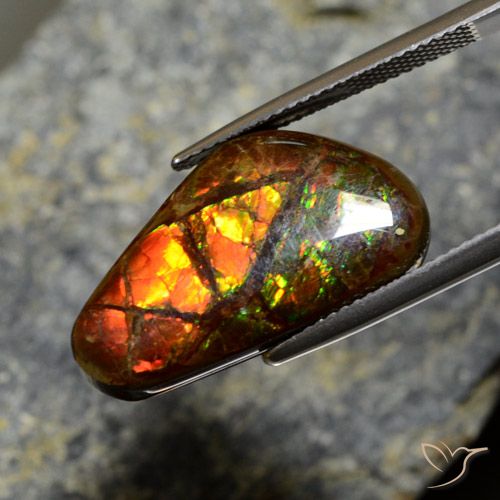 11.96ct 天然 マルチカラー アンモライト, ファンシー, オペーク