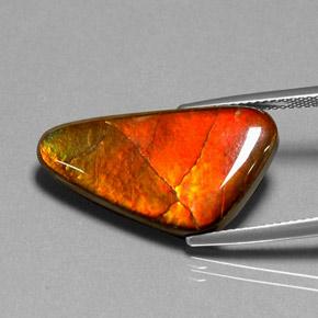 12.20カラットの天然マルチカラーアンモライト、ファンシーシェイプ、オペーク