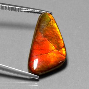 12.20カラットの天然マルチカラーアンモライト、ファンシーシェイプ、オペーク