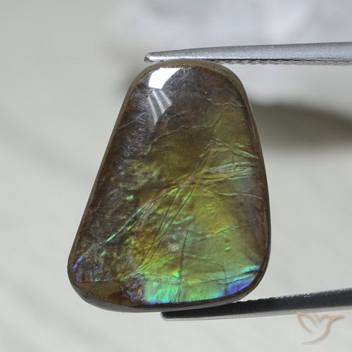 12.08ct 天然 マルチカラー アンモライト, ファンシー, オペーク