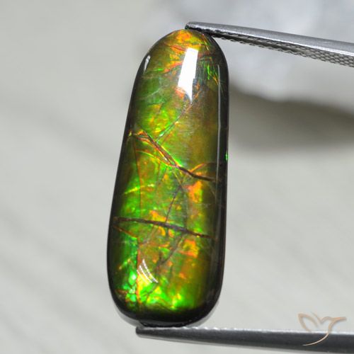 13.66ct 天然 マルチカラー アンモライト, ファンシー, オペーク