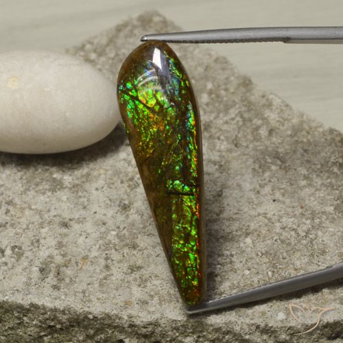 14.49ct 天然 マルチカラー アンモライト, ファンシー, オペーク