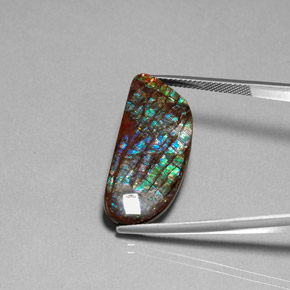 16.86カラットの天然多色アンモライト、ファンシーシェイプ、オペーク