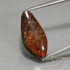 11.37ct 天然 マルチカラー アンモライト, ファンシー, オペーク