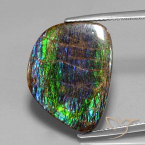 15.82ct 天然 マルチカラー アンモライト, ファンシー, オペーク