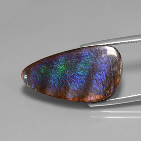 15.59カラットの天然マルチカラーアンモライト、ファンシーシェイプ、オペーク