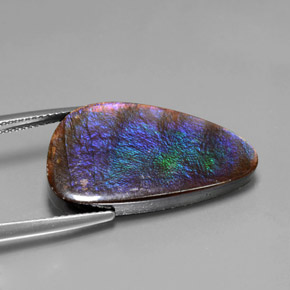 15.59カラットの天然マルチカラーアンモライト、ファンシーシェイプ、オペーク