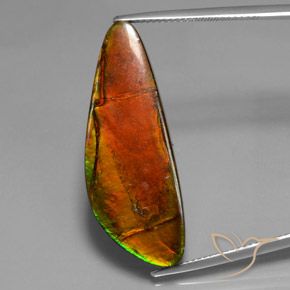 18.60ct 天然 マルチカラー アンモライト, ファンシー, オペーク