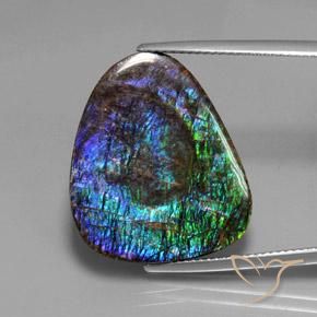 18.37ct 天然 マルチカラー アンモライト, ファンシー, オペーク