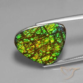19.08ct 天然 マルチカラー アンモライト, トリリオン, オペーク