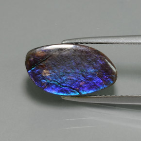 4.88カラットの天然マルチカラーアンモライト、ファンシーシェイプ、オペーク