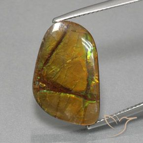 8.36ct 天然 マルチカラー アンモライト, ファンシー, オペーク
