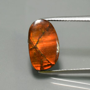 5.02カラットの天然マルチカラーアンモライト、ファンシーシェイプ、オペーク