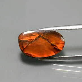 5.02カラットの天然マルチカラーアンモライト、ファンシーシェイプ、オペーク