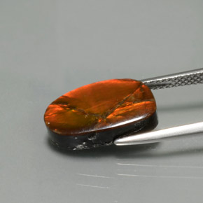 5.02カラットの天然マルチカラーアンモライト、ファンシーシェイプ、オペーク