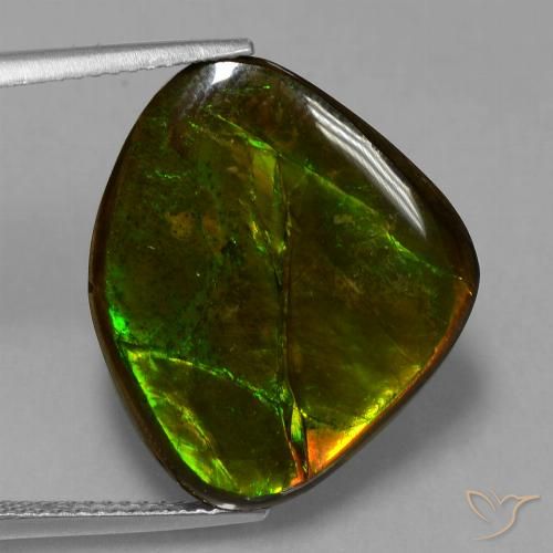 14.70ct 天然 マルチカラー アンモライト, ファンシー, オペーク