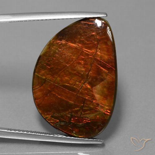 18.53ct 天然 マルチカラー アンモライト, ファンシー, オペーク