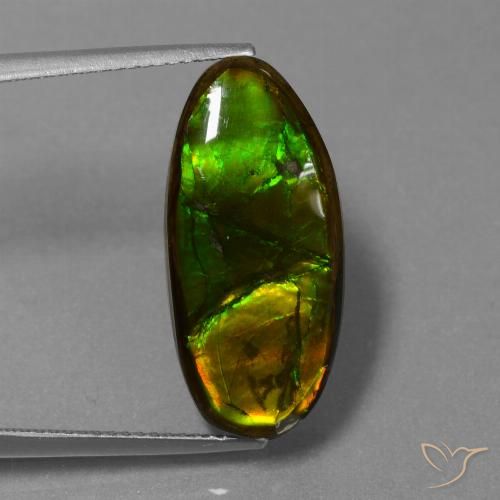 10.85ct 天然 マルチカラー アンモライト, ファンシー, オペーク