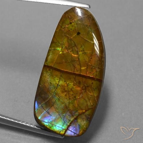 13.89ct 天然 マルチカラー アンモライト, ファンシー, オペーク