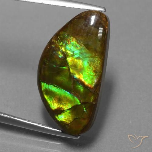 11.30ct 天然 マルチカラー アンモライト, ファンシー, オペーク