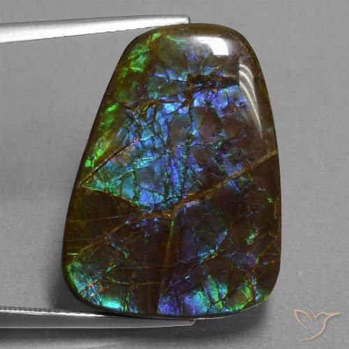 23.98ct 天然 マルチカラー アンモライト, ファンシー, オペーク