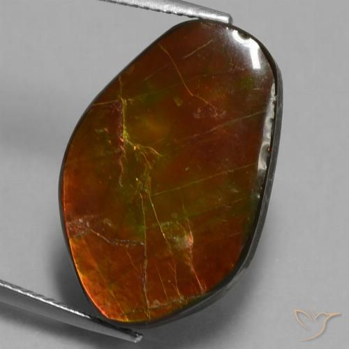 14.61ct 天然 マルチカラー アンモライト, ファンシー, オペーク
