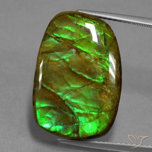 13.93ct 天然 マルチカラー アンモライト, ファンシー, オペーク