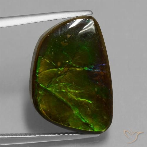 14.74ct 天然 マルチカラー アンモライト, ファンシー, オペーク