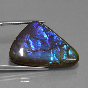 22.64カラットの天然マルチカラーアンモライト、ファンシーシェイプ、オペーク