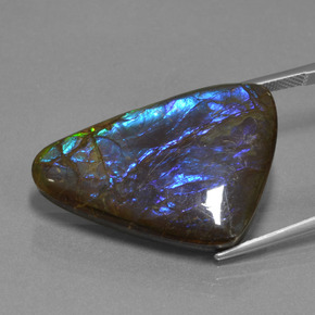 22.64カラットの天然マルチカラーアンモライト、ファンシーシェイプ、オペーク