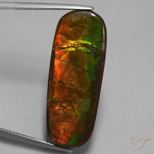 24.02ct 天然 マルチカラー アンモライト, ファンシー, オペーク