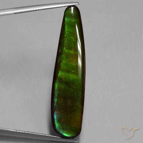 19.66ct 天然 マルチカラー アンモライト, ファンシー, オペーク