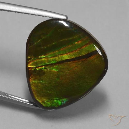 16.74ct 天然 マルチカラー アンモライト, ファンシー, オペーク