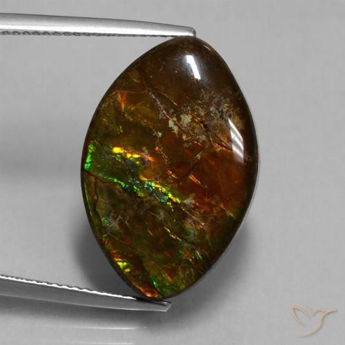 13.51ct 天然 マルチカラー アンモライト, マーキーズ, オペーク
