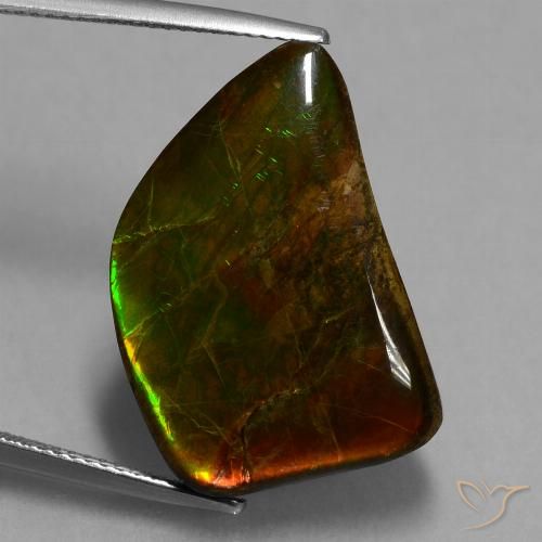 15.62ct 天然 マルチカラー アンモライト, ファンシー, オペーク