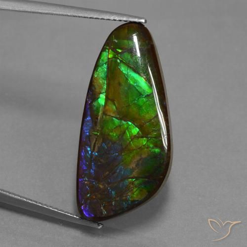16.76ct 天然 マルチカラー アンモライト, ファンシー, オペーク