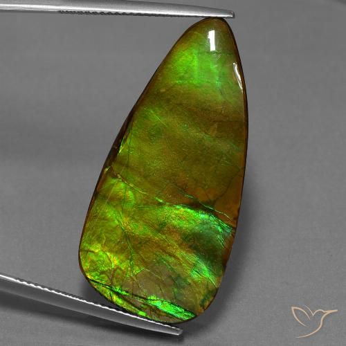 24.28ct 天然 マルチカラー アンモライト, ファンシー, オペーク