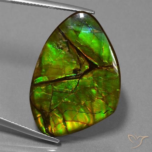 24.51ct 天然 マルチカラー アンモライト, ファンシー, オペーク